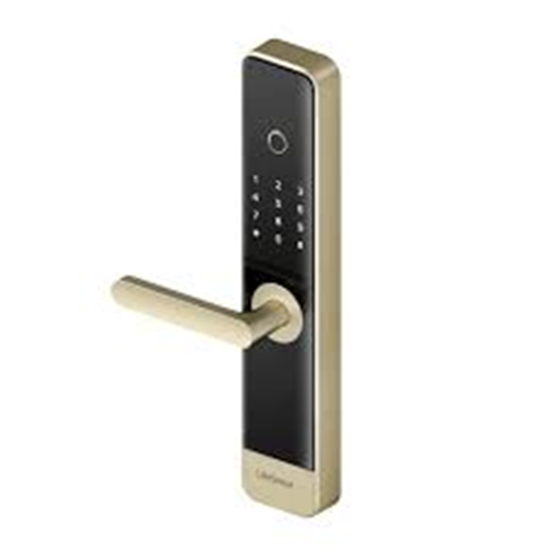 SMART DOOR LOCK (CLASSIC) LS101GS